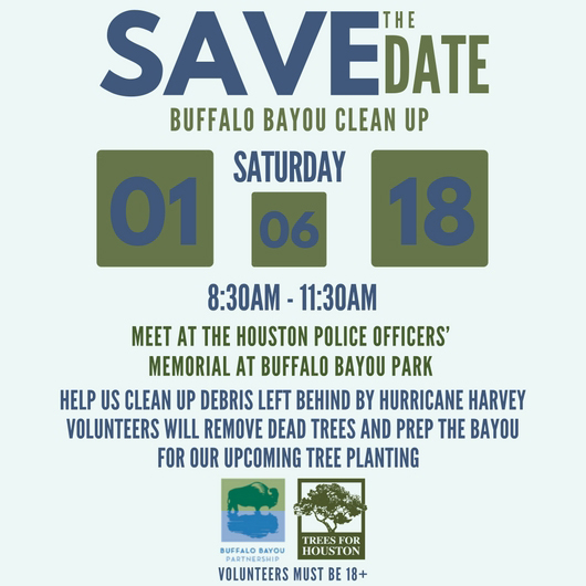 Image Buffalo Bayou Clean Up with Trees for Houston